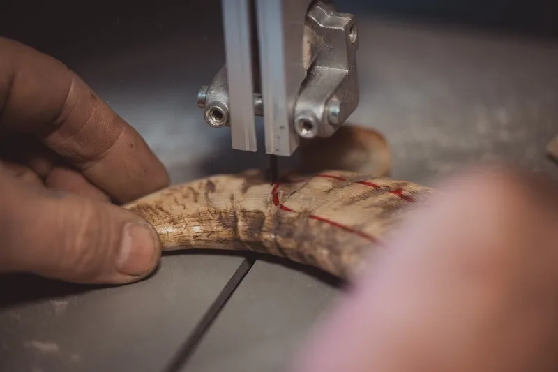 découpe d'une corne de manech pour manche de couteau basque